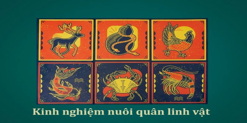 Chiến thuật nuôi linh vật để chơi bầu cua