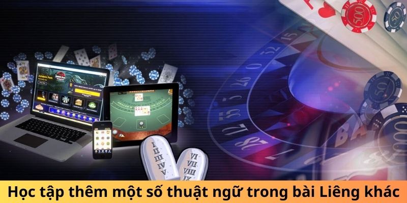 Học tập thêm một số thuật ngữ trong bài Liêng khác