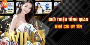 Điểm qua vài nét về nhà cái 789Bet